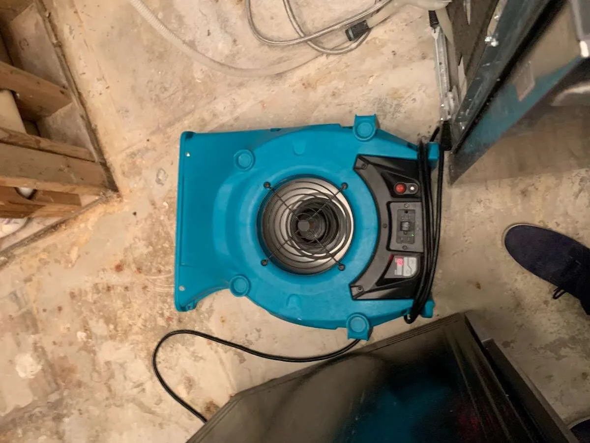 Air mover drying equipment for Mold Remediation & Removal in Cary